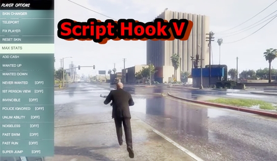 Script Hook V 