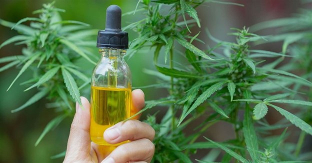 What is CBD? How to use it.